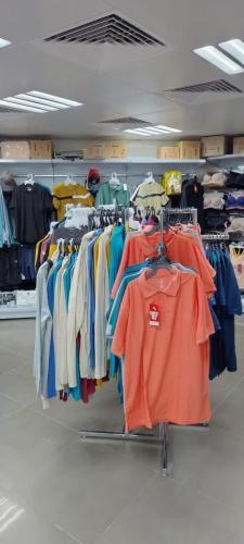 WhatsApp Image 2025-01-04 at 23.17.49 (2)